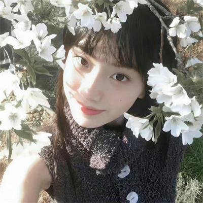 狐狸猎手 封面